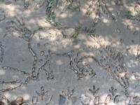 Albums/20060800-China Aug 2006/20060804-Shenyang University/62